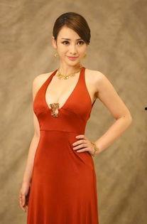 大明星柳岩的故事小说,星光璀璨背后的奋斗传奇