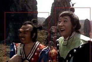 精细鬼伶俐虫图片,揭秘神秘生物的智慧之谜