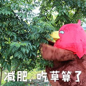 雕兄表情包,笑出腹肌的欢乐源泉